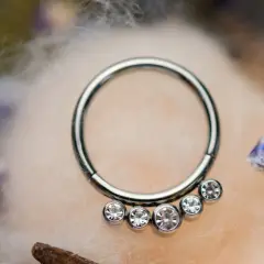 Srebrny kółko z cyrkoniami, jak do nipple piercing, otoczone delikatnymi, suchymi kwiatami i puszystą watą.