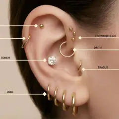 Ucho z wieloma złotymi kolczykami: flat, helix, conch, lobe, forward helix, daith i tragus. Widać też piercing upper lobe.
