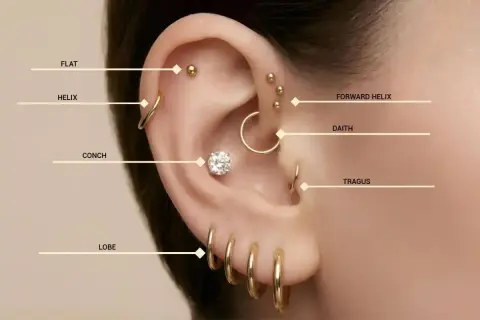 Ucho z licznymi kolczykami: flat, helix, conch, lobe, forward helix, daith, tragus. Zastanawiasz się, gdzie najbardziej boli kolczyk w uchu?