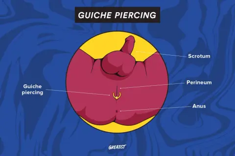 Ilustracja przedstawia anatomię męskiego krocza z zaznaczonym kolczykiem w penisie, zwanym guiche piercing.