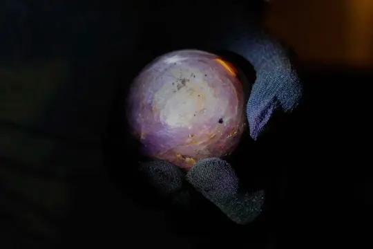 Rękawiczka trzyma fasetowany szafir gwiaździsty o fioletowo-różowym odcieniu, z widocznymi inkluzjami i błyszczącymi refleksami.