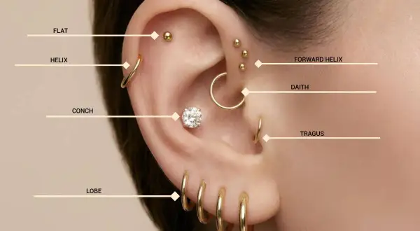 Ucho z wieloma złotymi kolczykami: flat, helix, conch, lobe, forward helix, daith i tragus. Widać też piercing upper lobe.