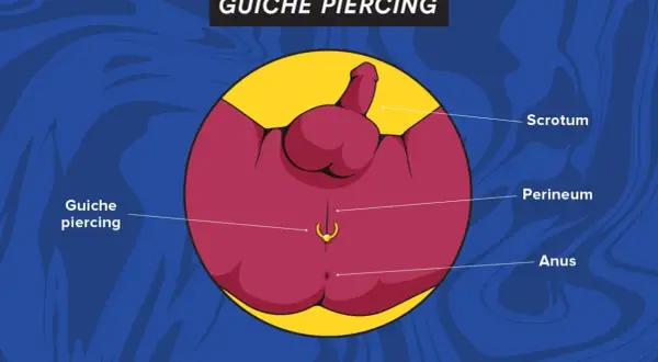 Ilustracja przedstawia anatomię męskiego krocza z zaznaczonym kolczykiem w penisie, zwanym guiche piercing.