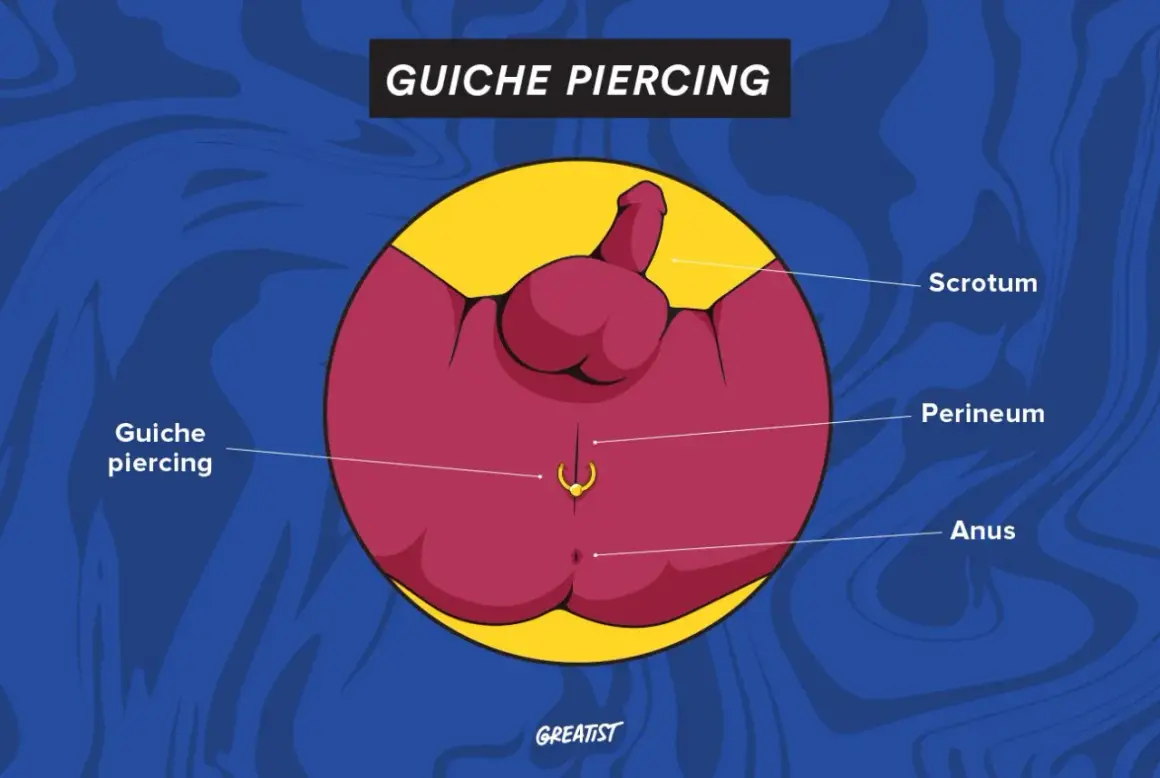 Ilustracja przedstawia anatomię męskiego krocza z zaznaczonym kolczykiem w penisie, zwanym guiche piercing.