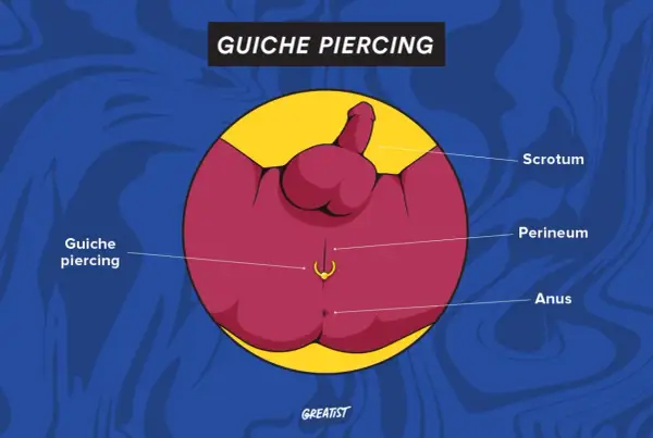 Ilustracja przedstawia anatomię męskiego krocza z zaznaczonym kolczykiem w penisie, zwanym guiche piercing.